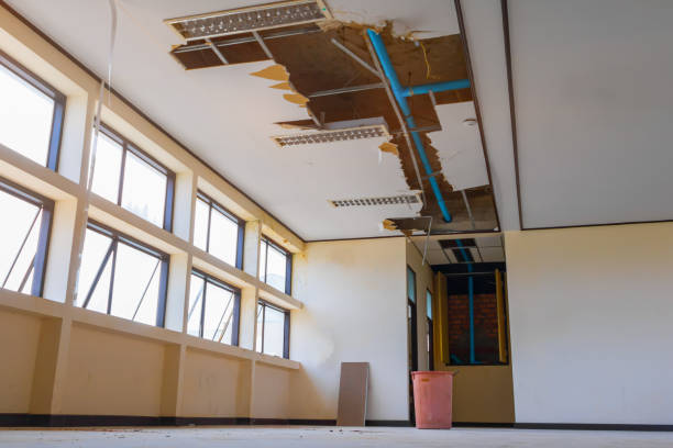 Best Fire Damage Restoration  in Pierce, CO