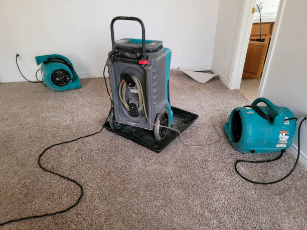 Best Commercial water damage restoration  in Pierce, CO