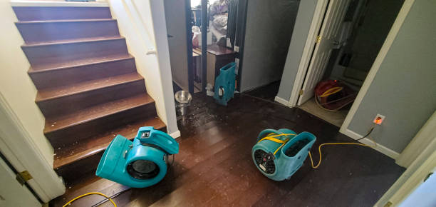 Best Flood damage cleanup  in Pierce, CO