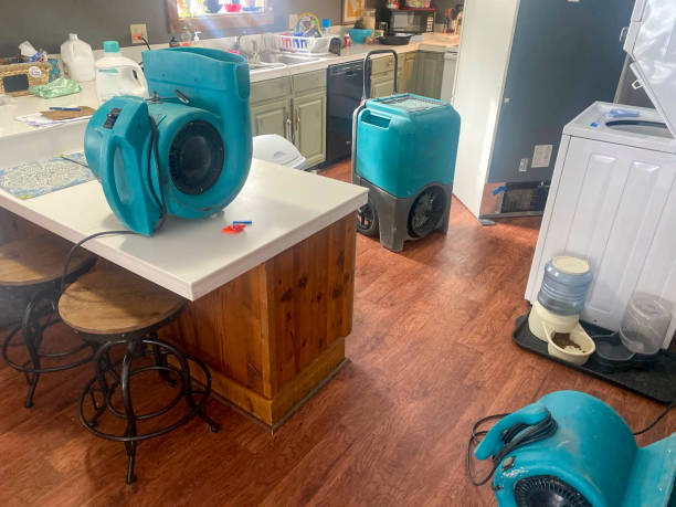 Best 24/7 water damage repair  in Pierce, CO