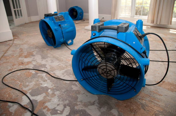 Best Water damage mitigation services  in Pierce, CO