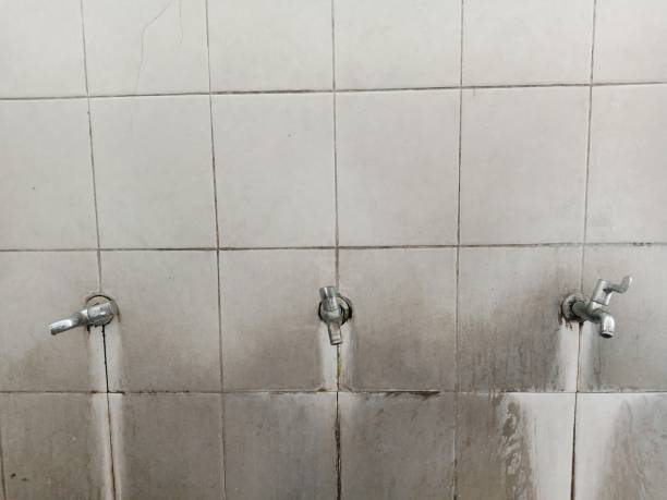 Best Water damage restoration near me  in Pierce, CO