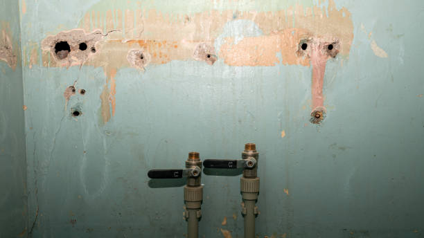 Trusted Pierce, CO Water damage restoration Experts