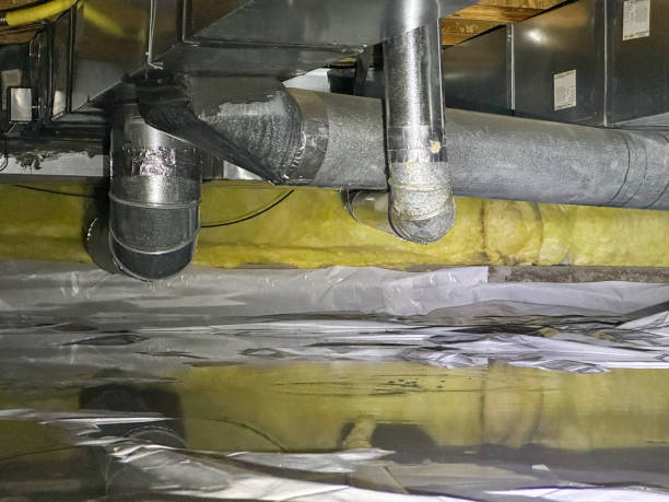 Best Ceiling water damage repair  in Pierce, CO