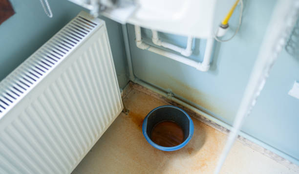 Carpet water damage restoration in Pierce, CO
