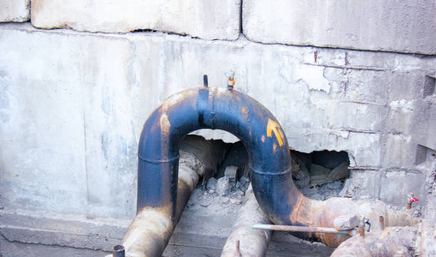 Best Water damage restoration near me  in Pierce, CO