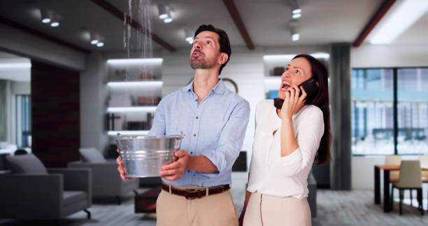Best Water damage restoration company  in Pierce, CO