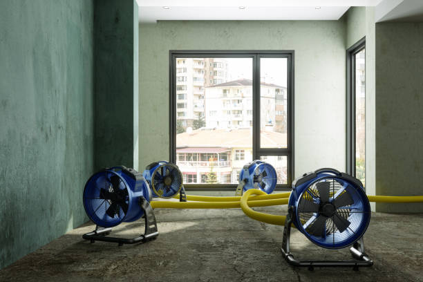 Best Carpet water damage restoration  in Pierce, CO